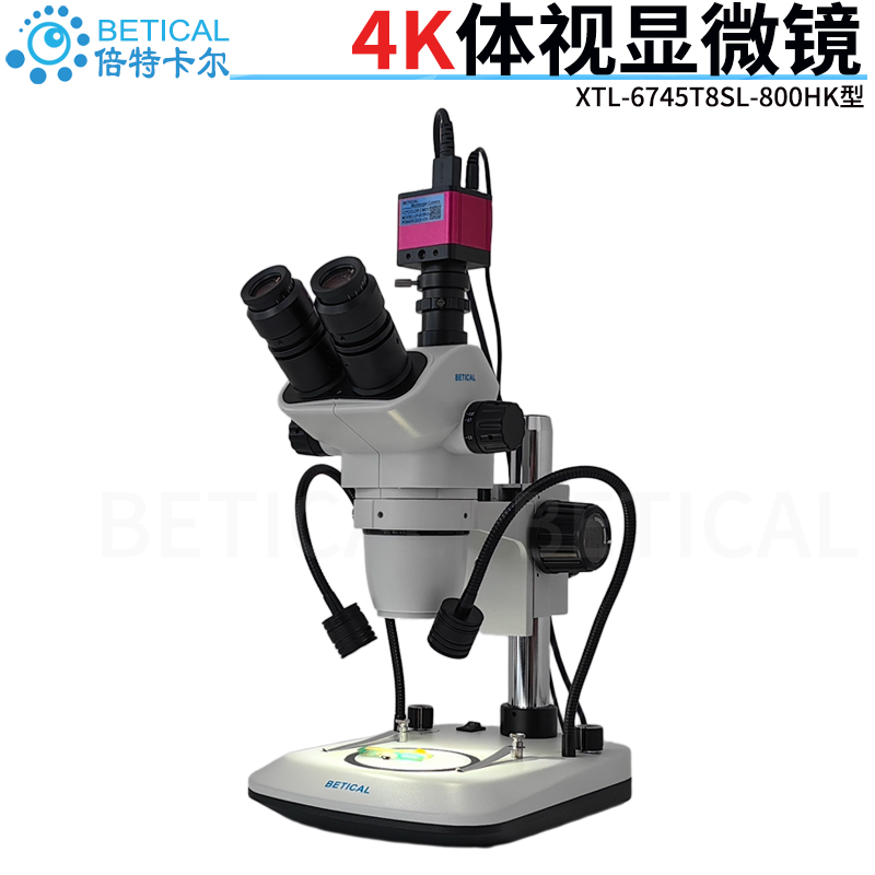 XTL-6745T8SL-800HK-04-1