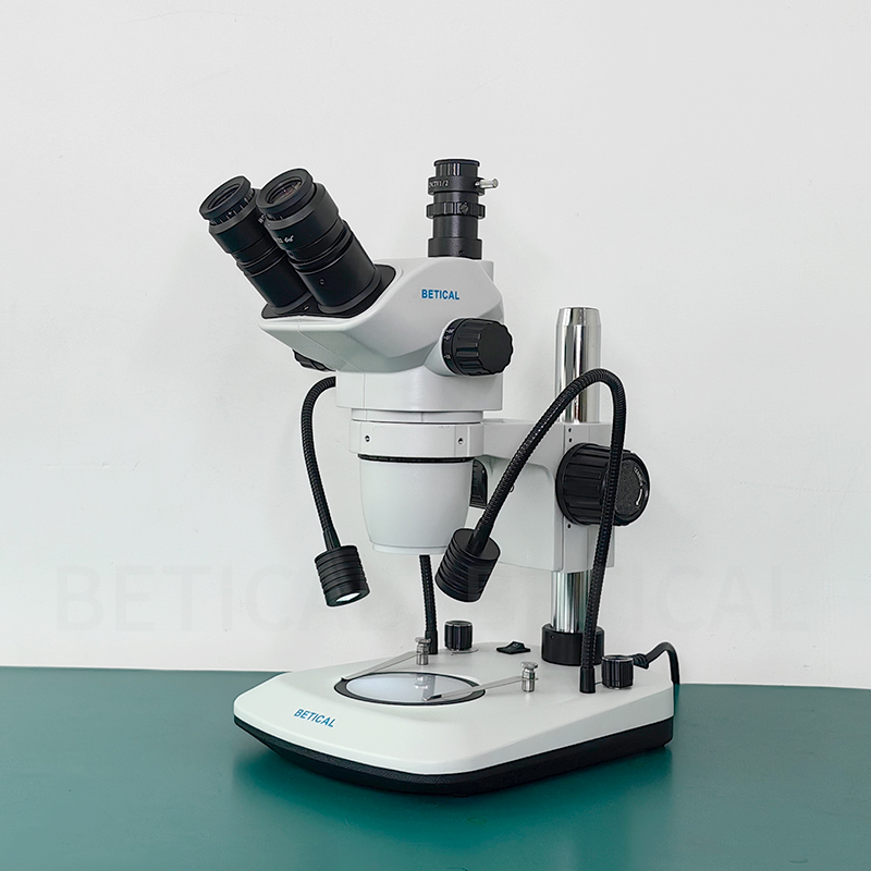 XTL-6745T8SL-800HK-03