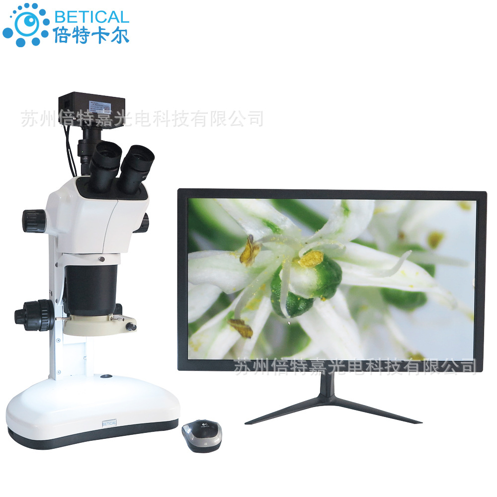 三目连续变倍光学显微镜XTL-7063T型实体解剖组培高校科研医疗-O1CN016xwfCR2Kzg4vUXFnw_!!2004829628-0-cib