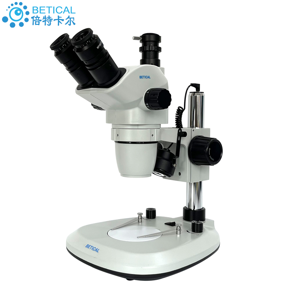 XTL-6745TJ402