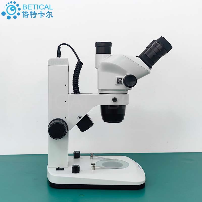 XTL-6552B9-01