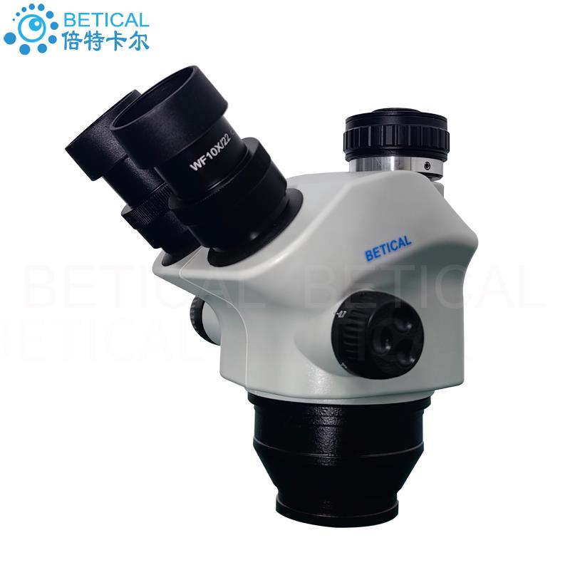 XTL-7050T