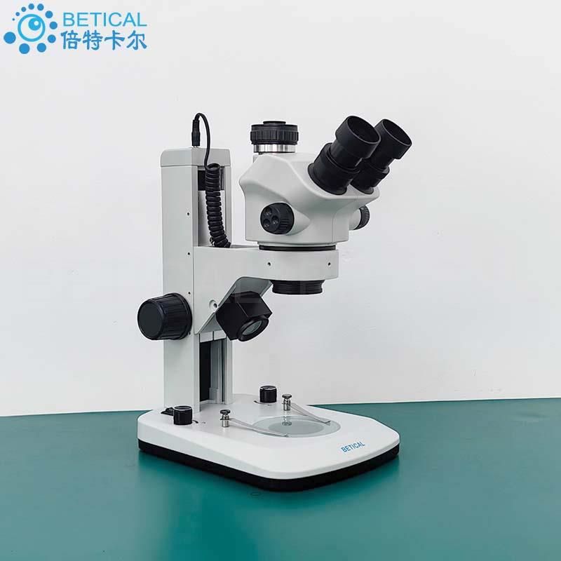 XTL-7050T9-01