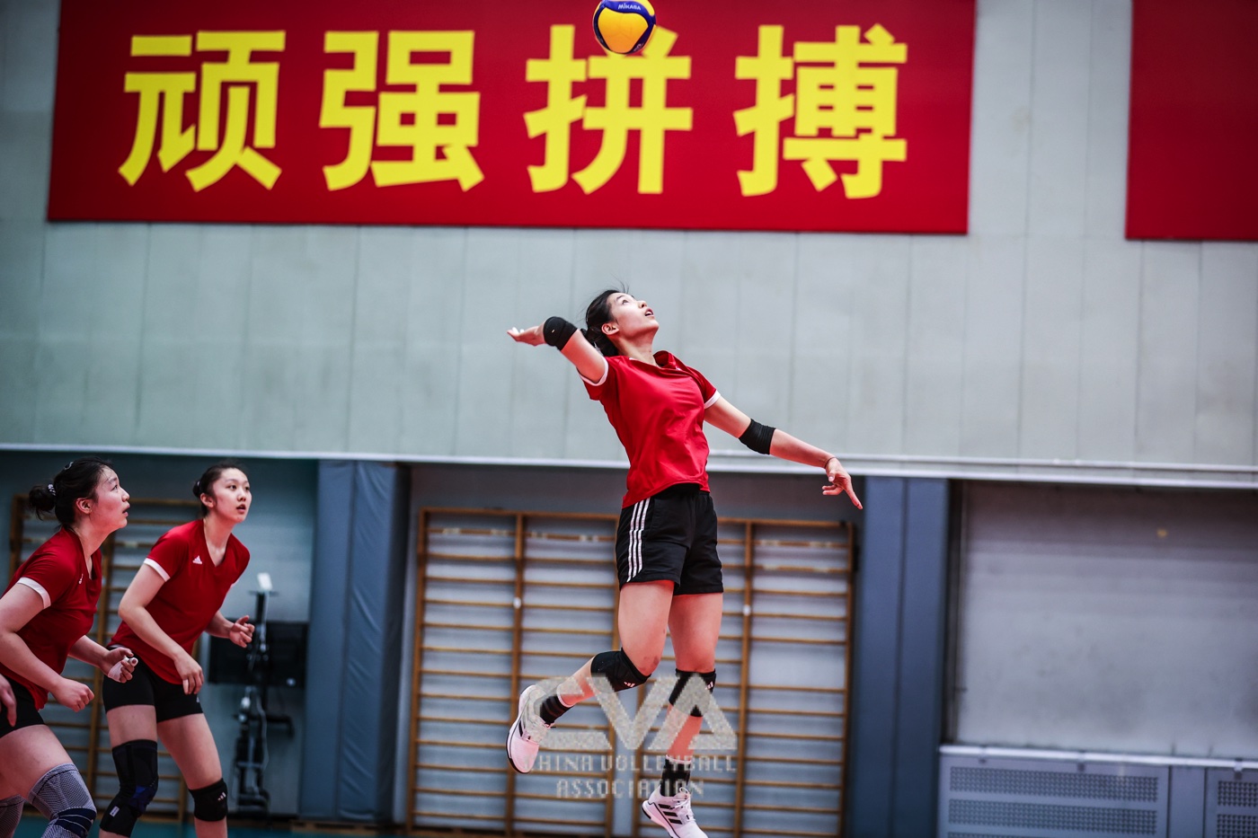 新一届中国女排首批集训队员在京训练