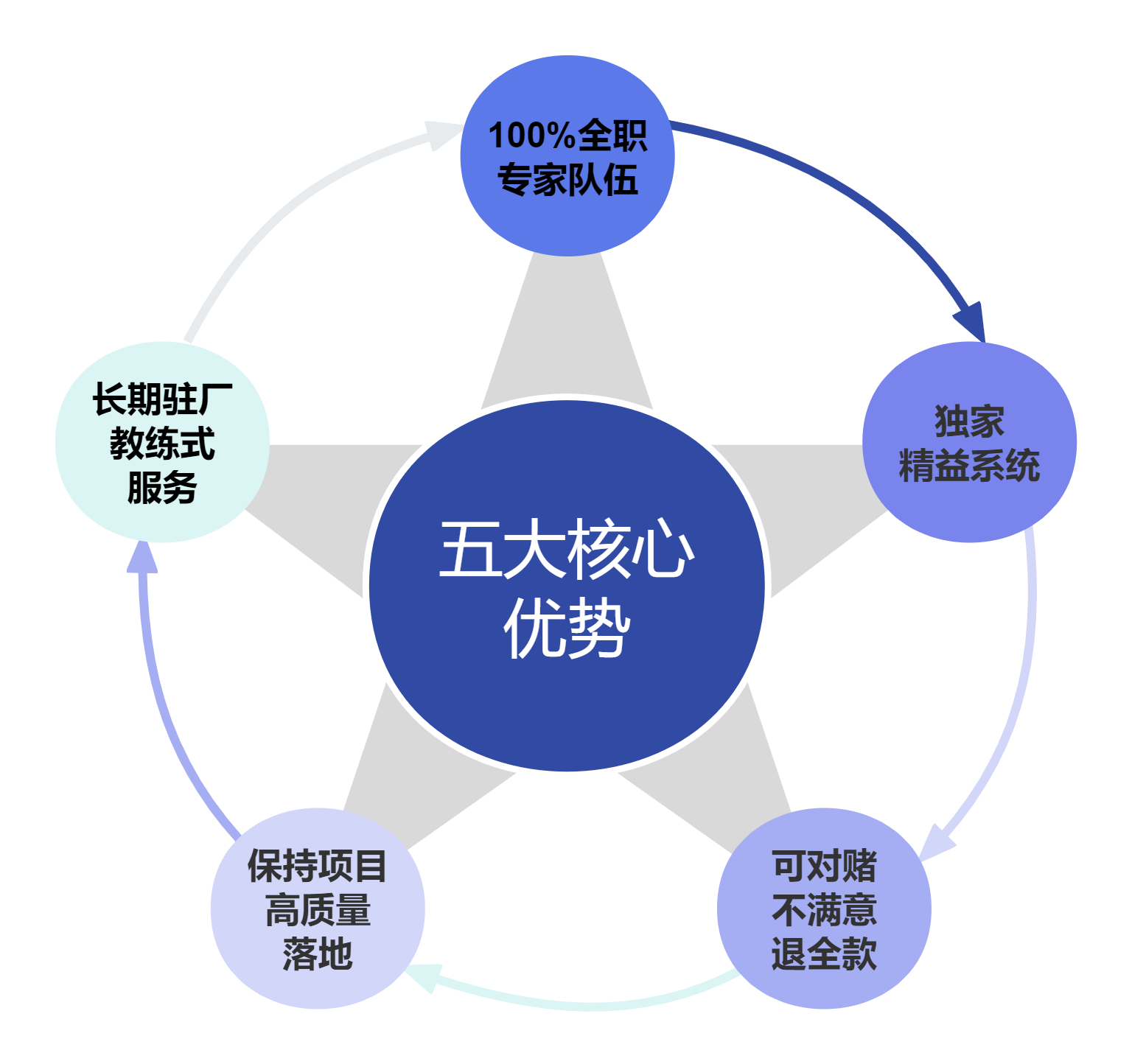 亿启邦五大核心优势图