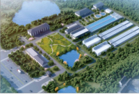 WPS图片批量处理-52952409
