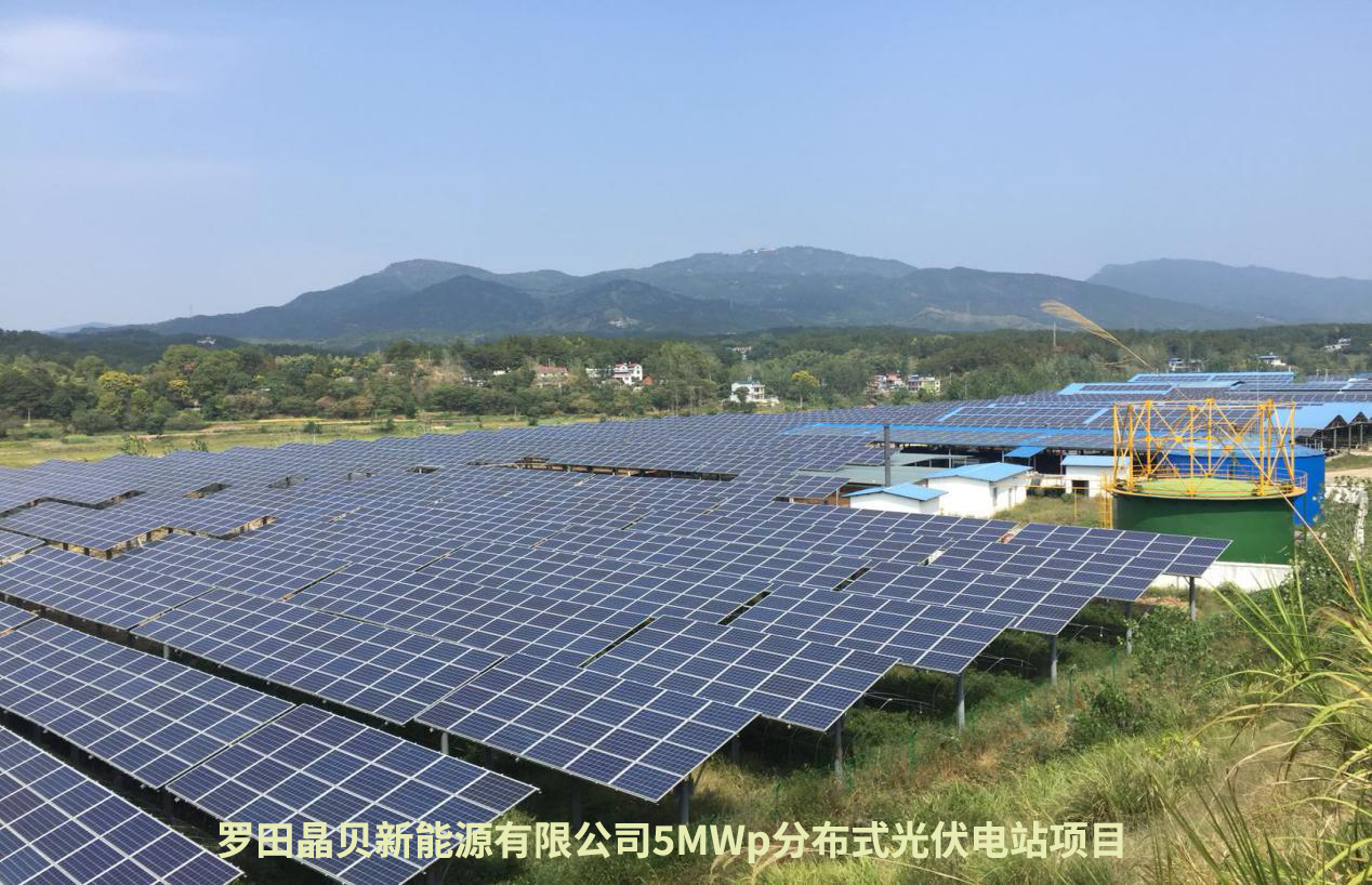 norbert-levajsics-dUx0gwLbhzs-unsplash拷贝