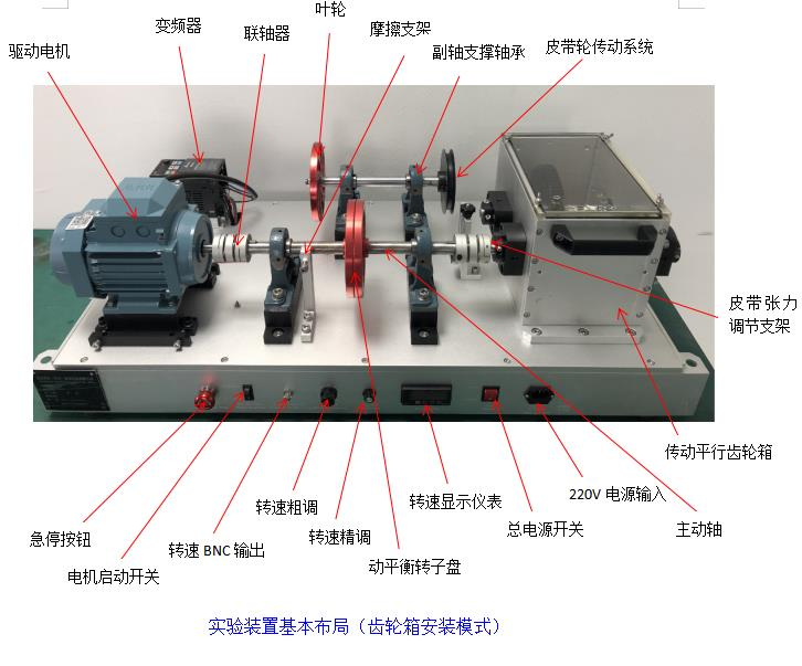 图片15