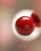 微信图片_20230717141351