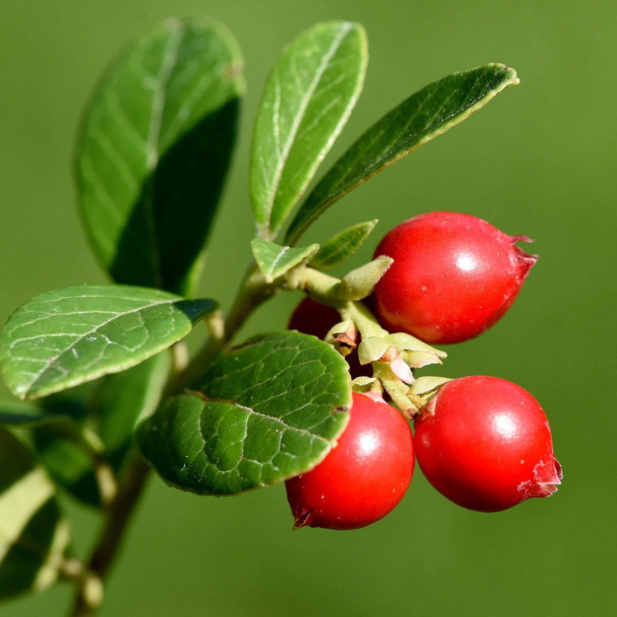 微信图片_20230717141506