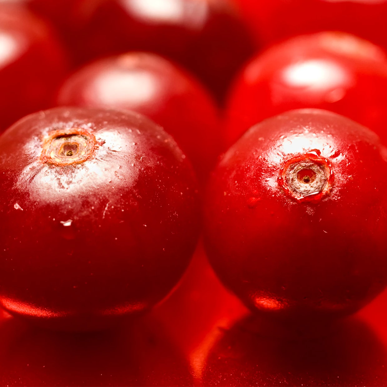 微信图片_20230717141512