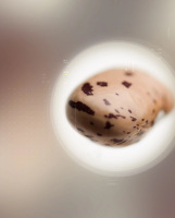 微信图片_20230717135444