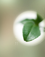 微信图片_202307171402003