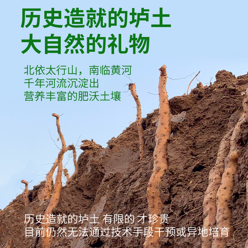 主图-100克有机山药面-2