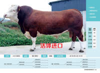 41218832活体进口