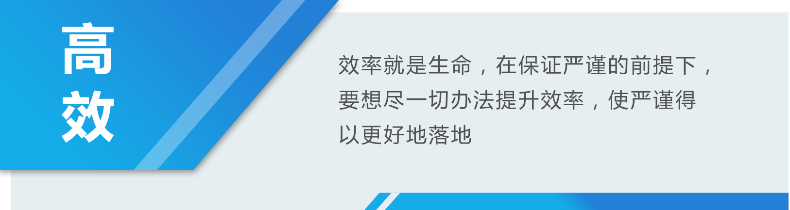 高效：效率就是生命，在保证严谨的前提下，要想尽一切办法提升效率，使严谨得以更好地落地