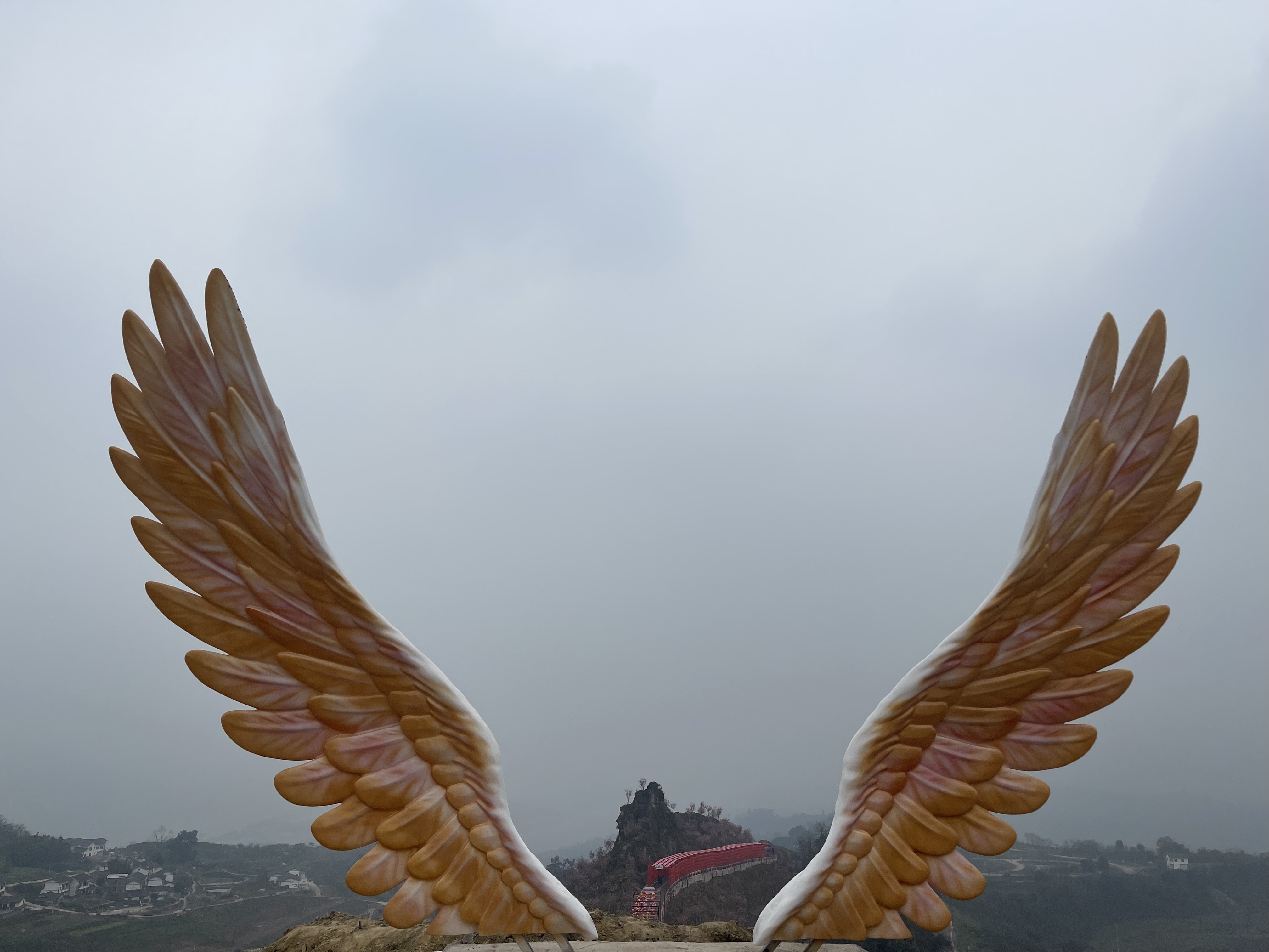 微信图片_20240313141650