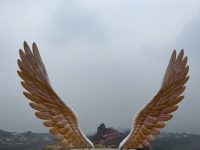微信图片_20240313141650