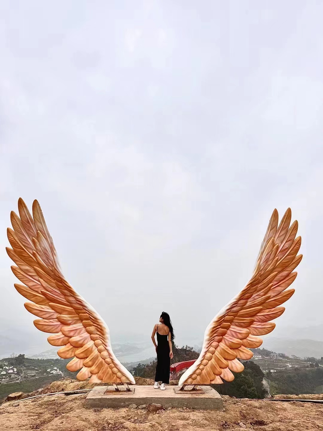 微信图片_20240313141900