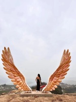 微信图片_20240313141900