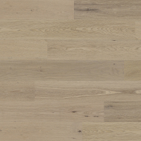 ELF-GALAXY选图-OakRN01