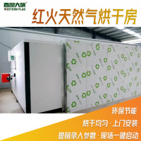 红火天然气主图11