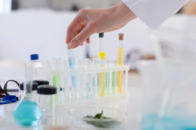 Antibodies conjugation