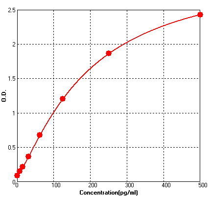 BEK1282