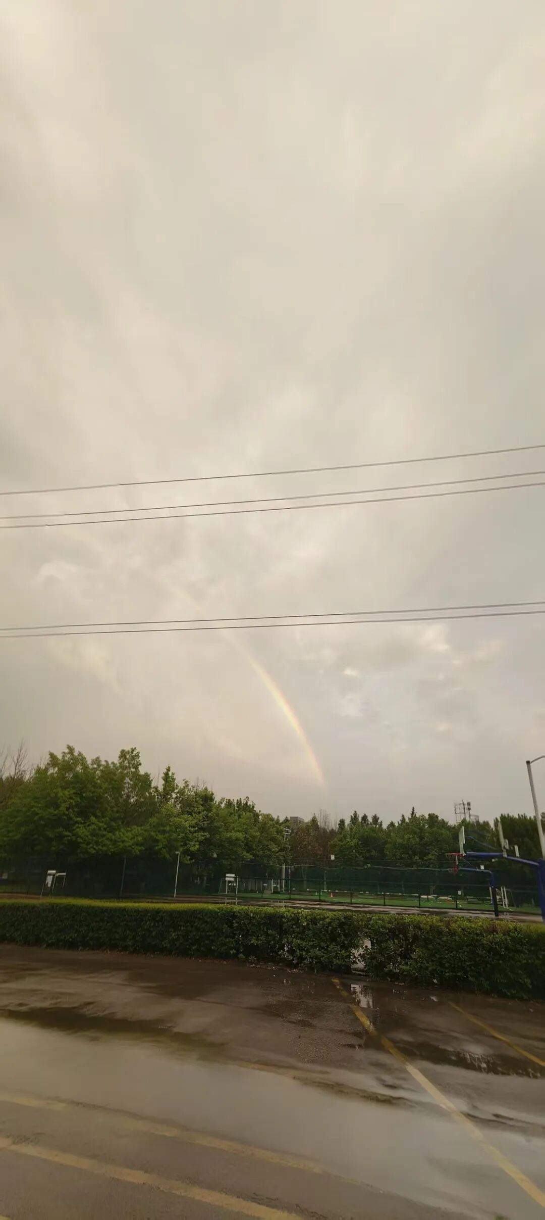 下班回来路过薪享宏福看到的雨后彩虹.jpg