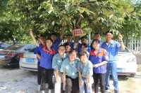 柿事如意活动-2