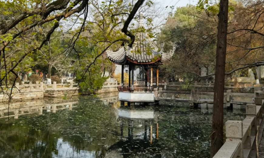 苏州国际学校怎么选