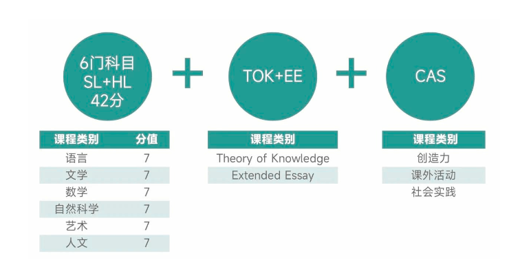 苏州国际学校秋招培训机构推荐