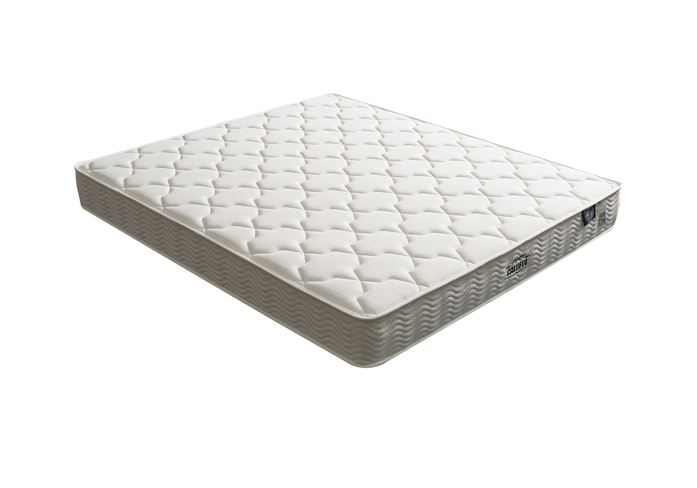 申城之星主图01