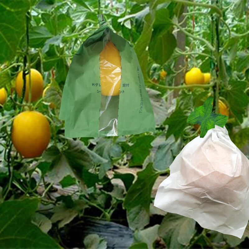 4a751924741e53d5427bb1adc6bacdc5