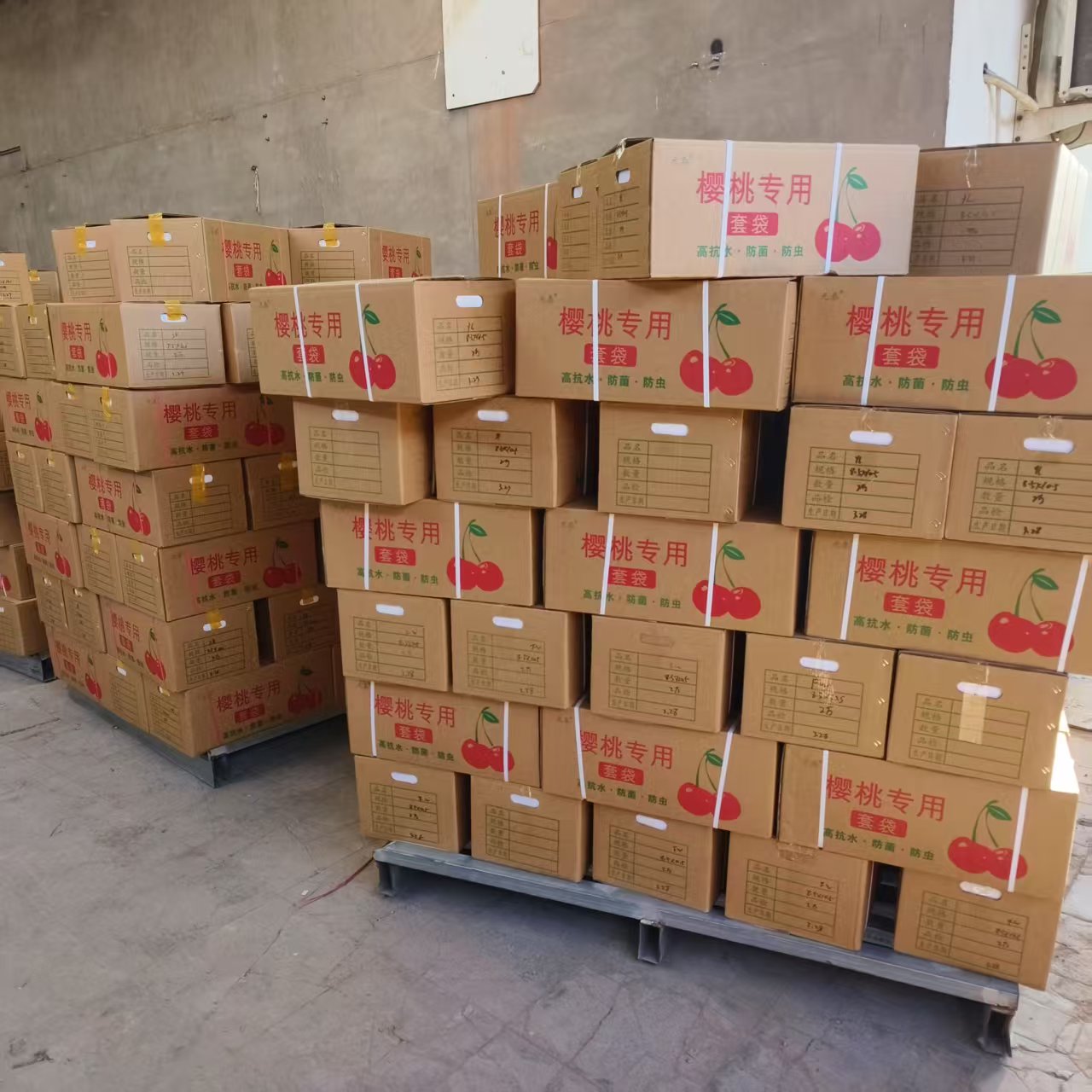 微信图片_20250614180115