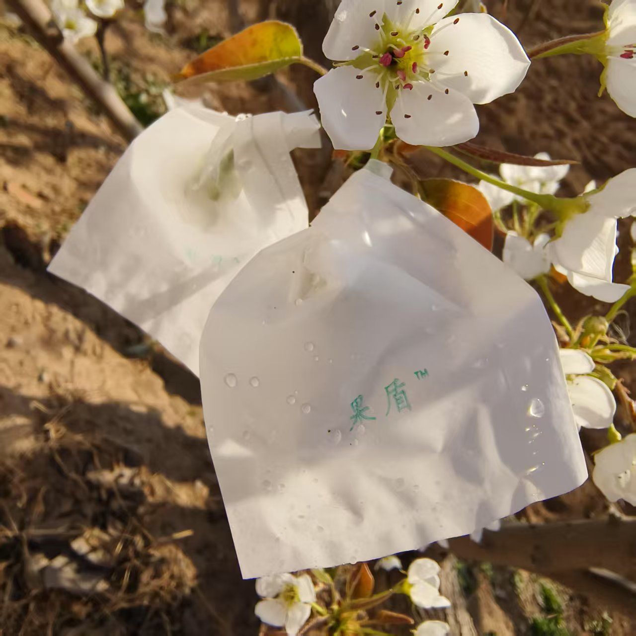 微信图片_20250614180051