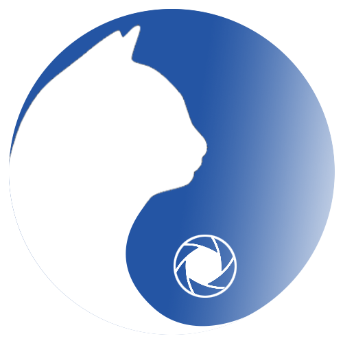 iconfont-bingzhuangtu