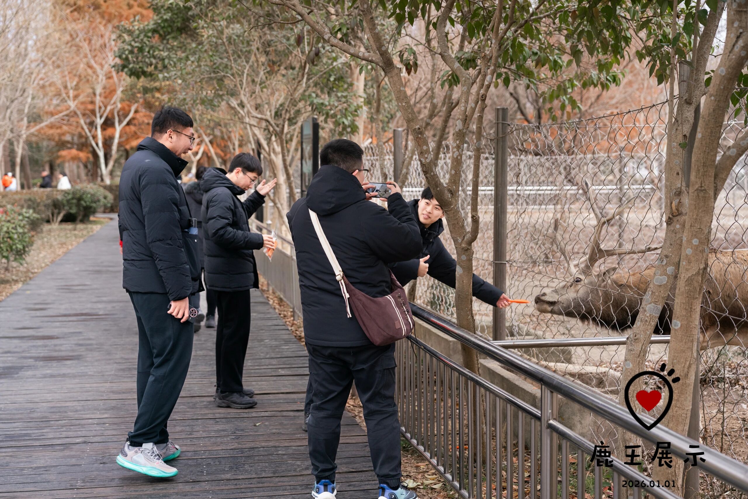 微信图片_2026-01-02_095313_802