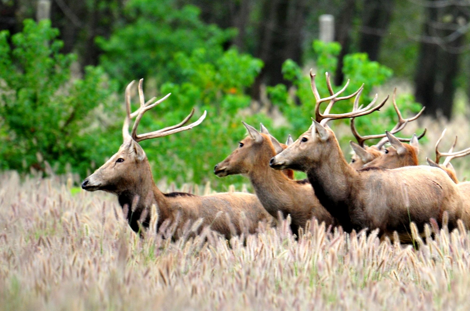 李玉生摄影作品