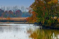 周晨曦摄影作品