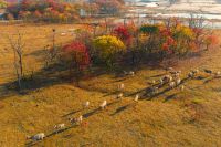 周晨曦摄影作品