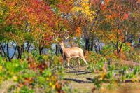 周晨曦摄影作品