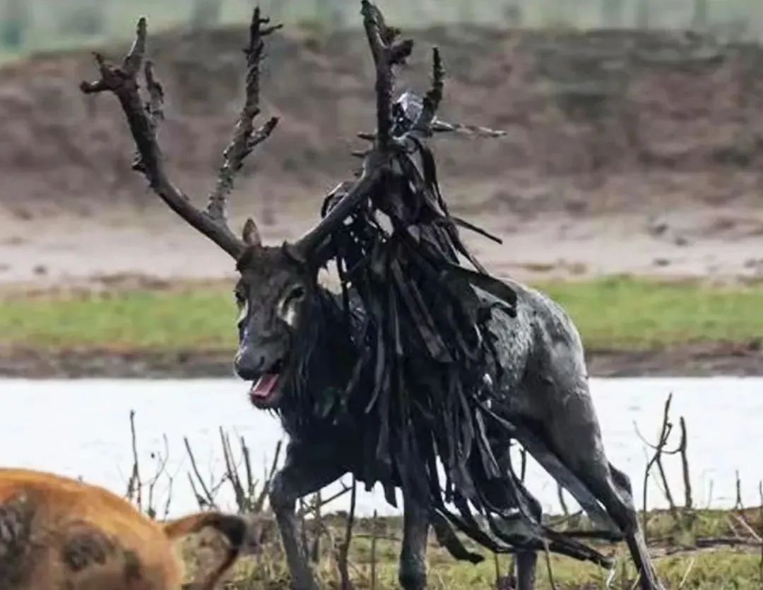 微信图片_20241129145026