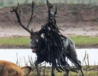 微信图片_20241129145026