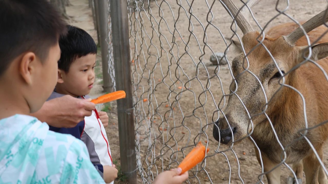 微信图片_20250606160743