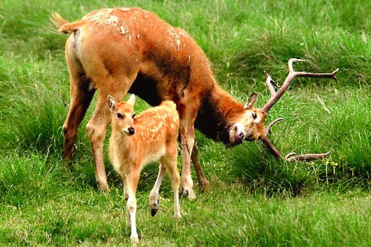 微信图片_20250619095824