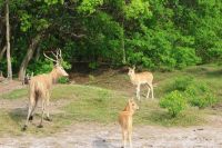 微信图片_20250619095832