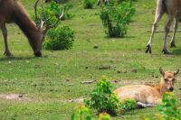 微信图片_20250619095835