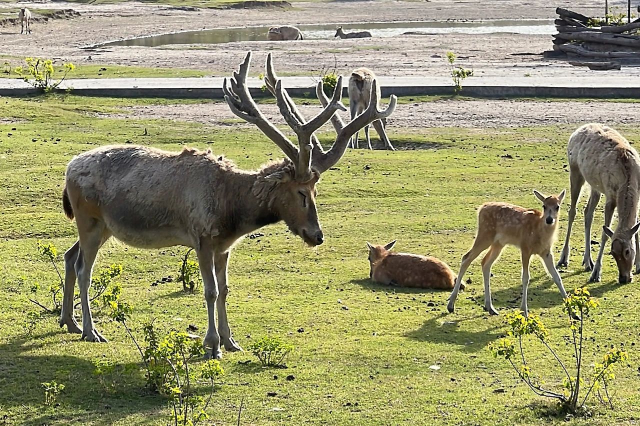 微信图片_20250619095838