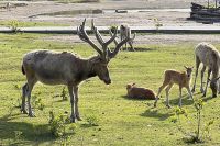 微信图片_20250619095838